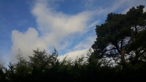 Novemberhimmel