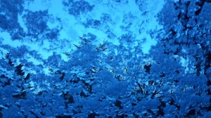 Schnee